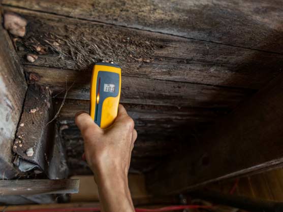 5-crawlspace searching for studs behind board