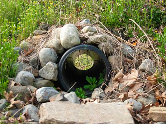 exterior french drains by raising solutions